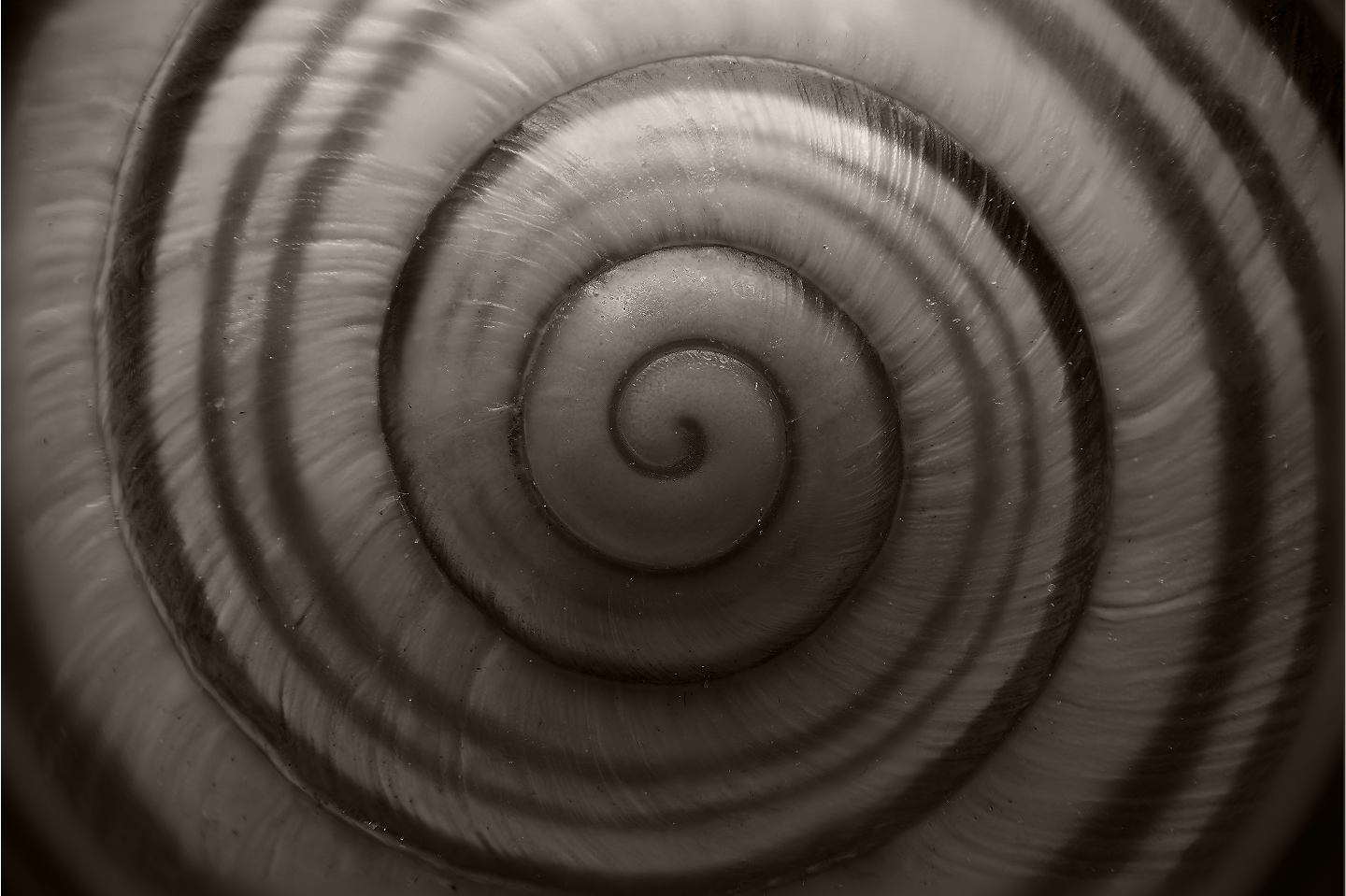 Protocol Dive: CALIBER